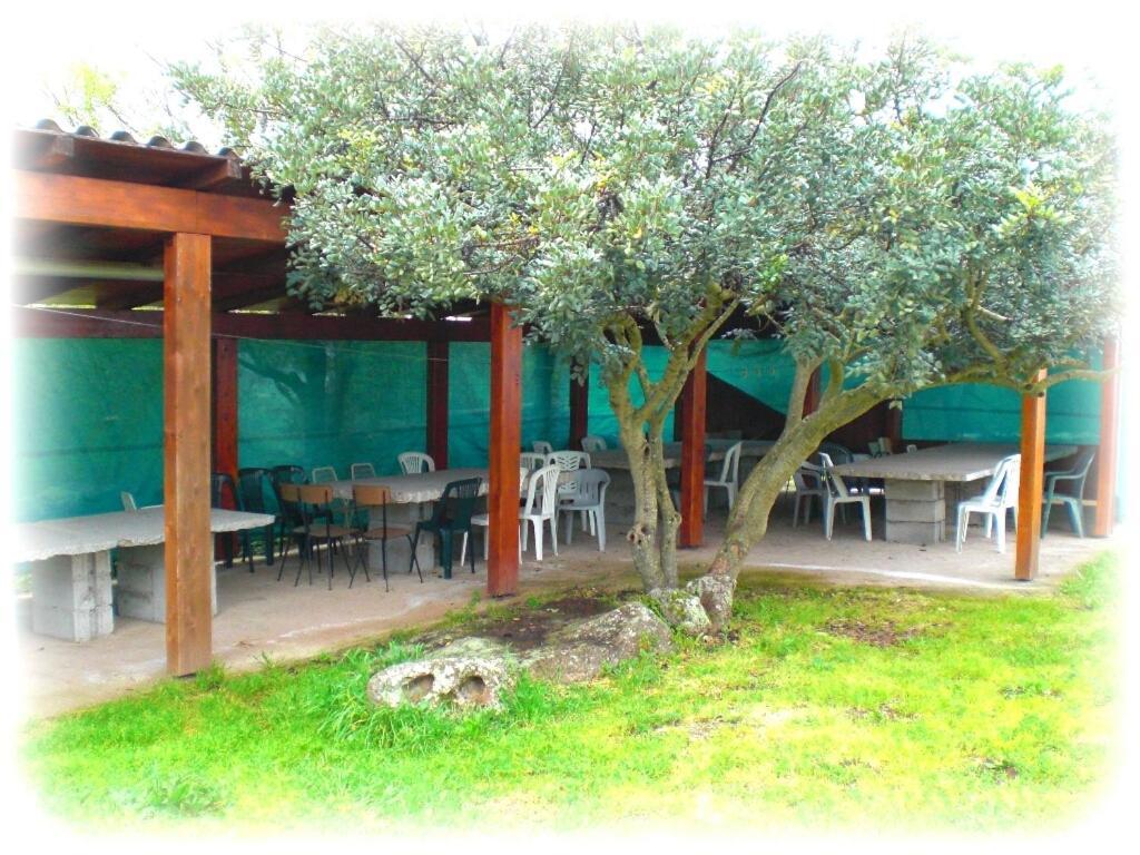 Agriturismo Pentuma Chiaramonti Екстериор снимка
