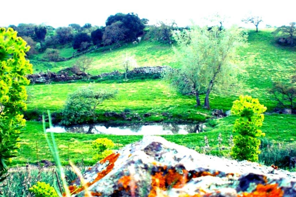 Agriturismo Pentuma Chiaramonti Екстериор снимка