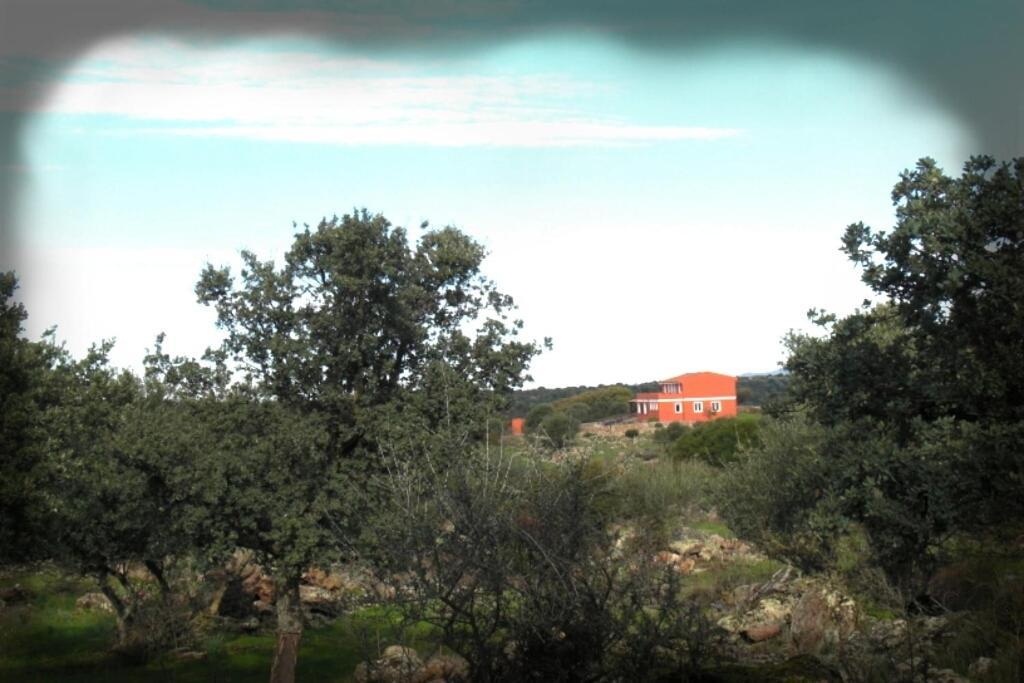 Agriturismo Pentuma Chiaramonti Екстериор снимка