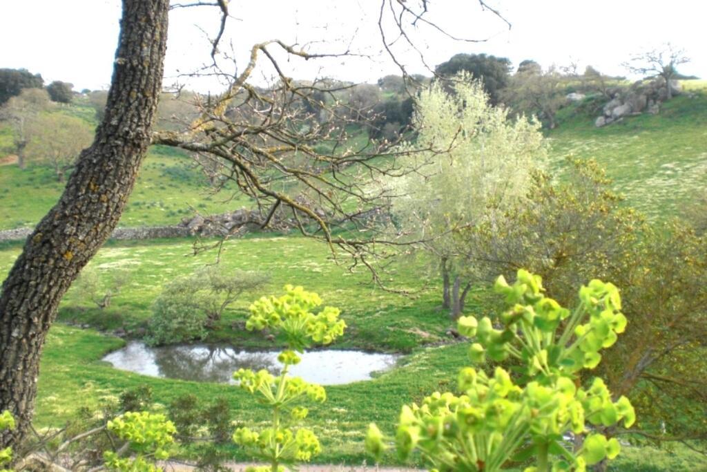 Agriturismo Pentuma Chiaramonti Екстериор снимка