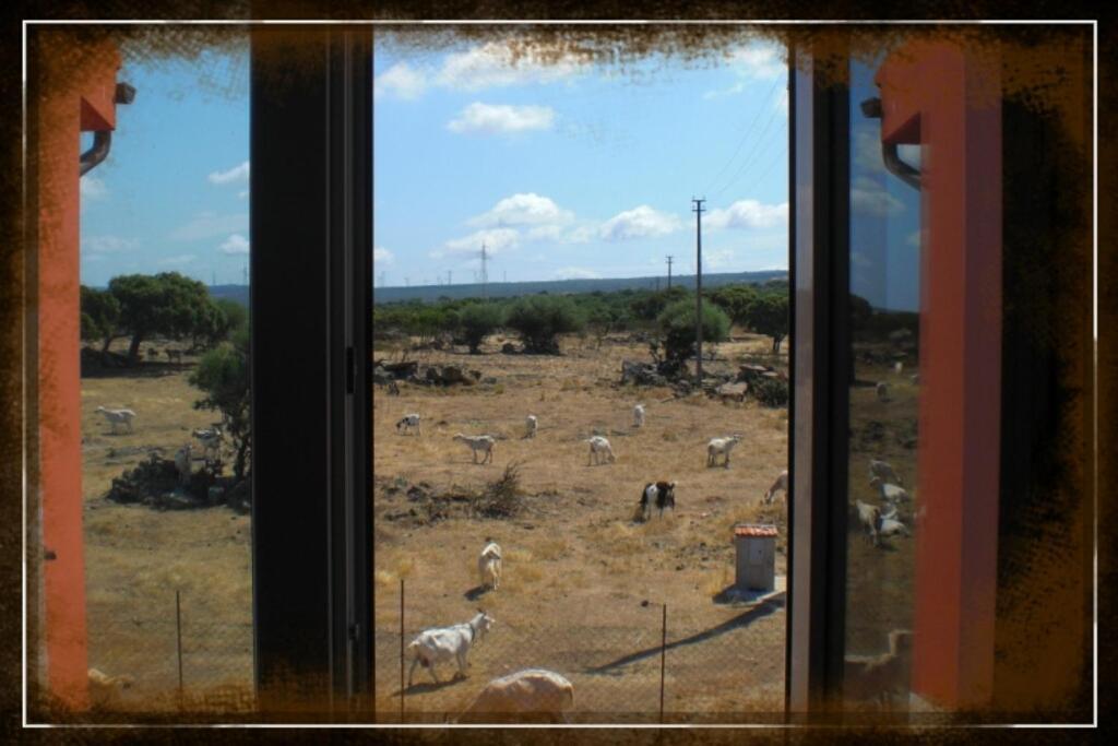 Agriturismo Pentuma Chiaramonti Стая снимка