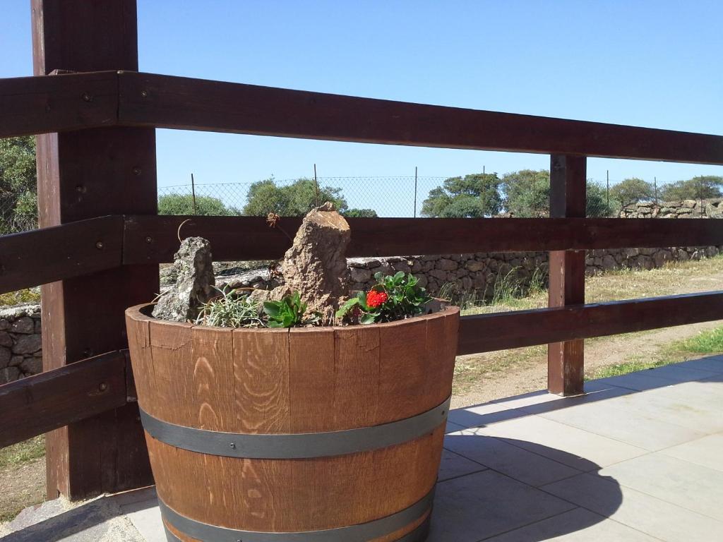 Agriturismo Pentuma Chiaramonti Екстериор снимка